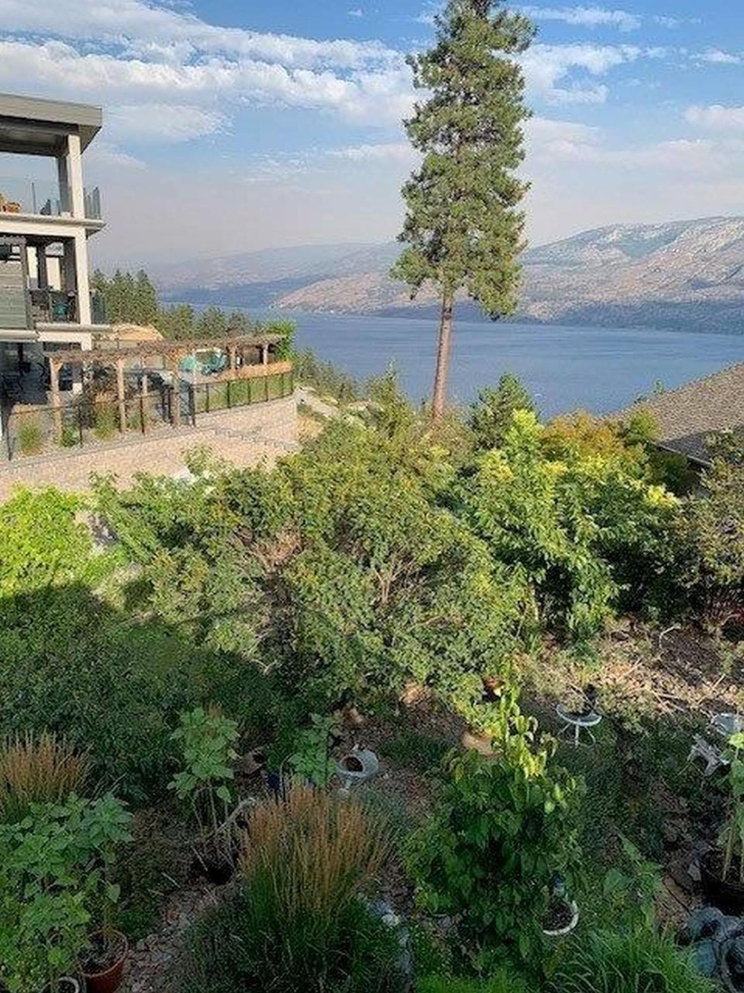 At The Top Of The Hill Peachland Exteriör bild